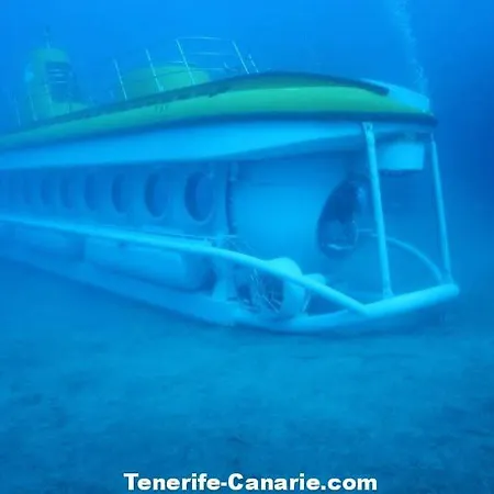 公寓 Ocean View 圣米格尔德阿沃纳