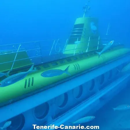 Ocean View Lejlighed San Miguel de Abona